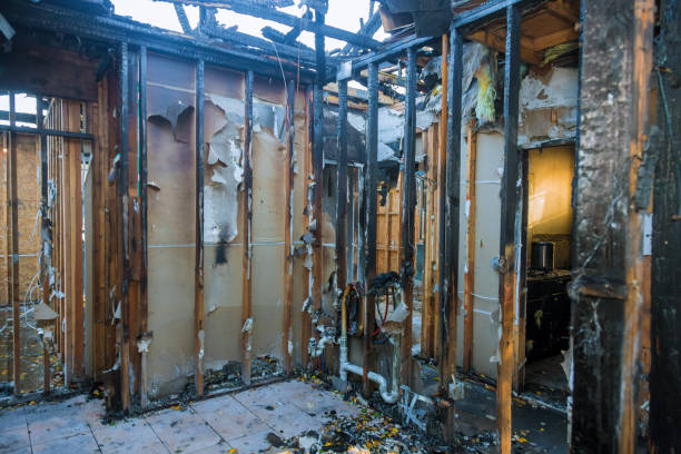 Professional Structural Rebuild technician working in La Center, WA